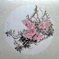 宣纸软卡镜片花鸟小品
