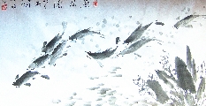 鱼乐图6
