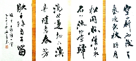 曹扬宪