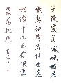 追霞赏春雪