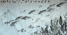 鱼乐图2