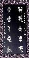 金文——开张奇逸联