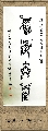 鸟虫篆——积学储宝