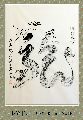 根书——龙行天下