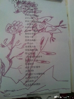 舒晓天作品