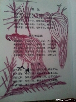 舒晓天《画家神鼠舒晓天》