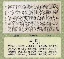 鸟虫篆——兰赋