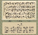 鸟虫篆——兰赋