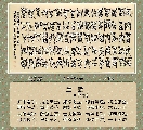 鸟虫篆——兰赋