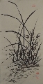 兰00023