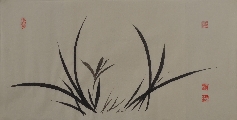 兰000532