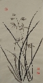兰00053