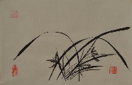兰00061