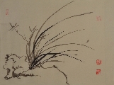 兰000635