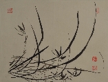兰000321