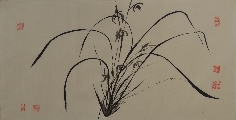 兰00012569