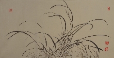 兰0002323