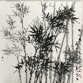 欣欣向荣