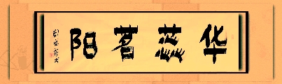 漆书——华蕊茗阳