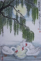 ：鹅戏月影柳蝉鸣