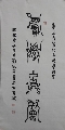 鸟虫篆——积学储宝