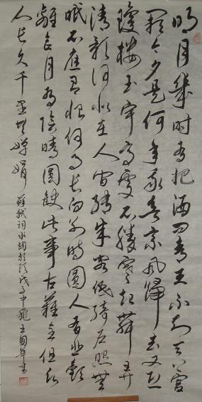 王国华草书苏轼词一首王国华艺术作品大全)书法绘画作品字帖画谱欣赏