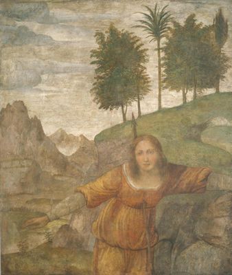 0017_达芬奇绘画作品集油画图集TIF格式_