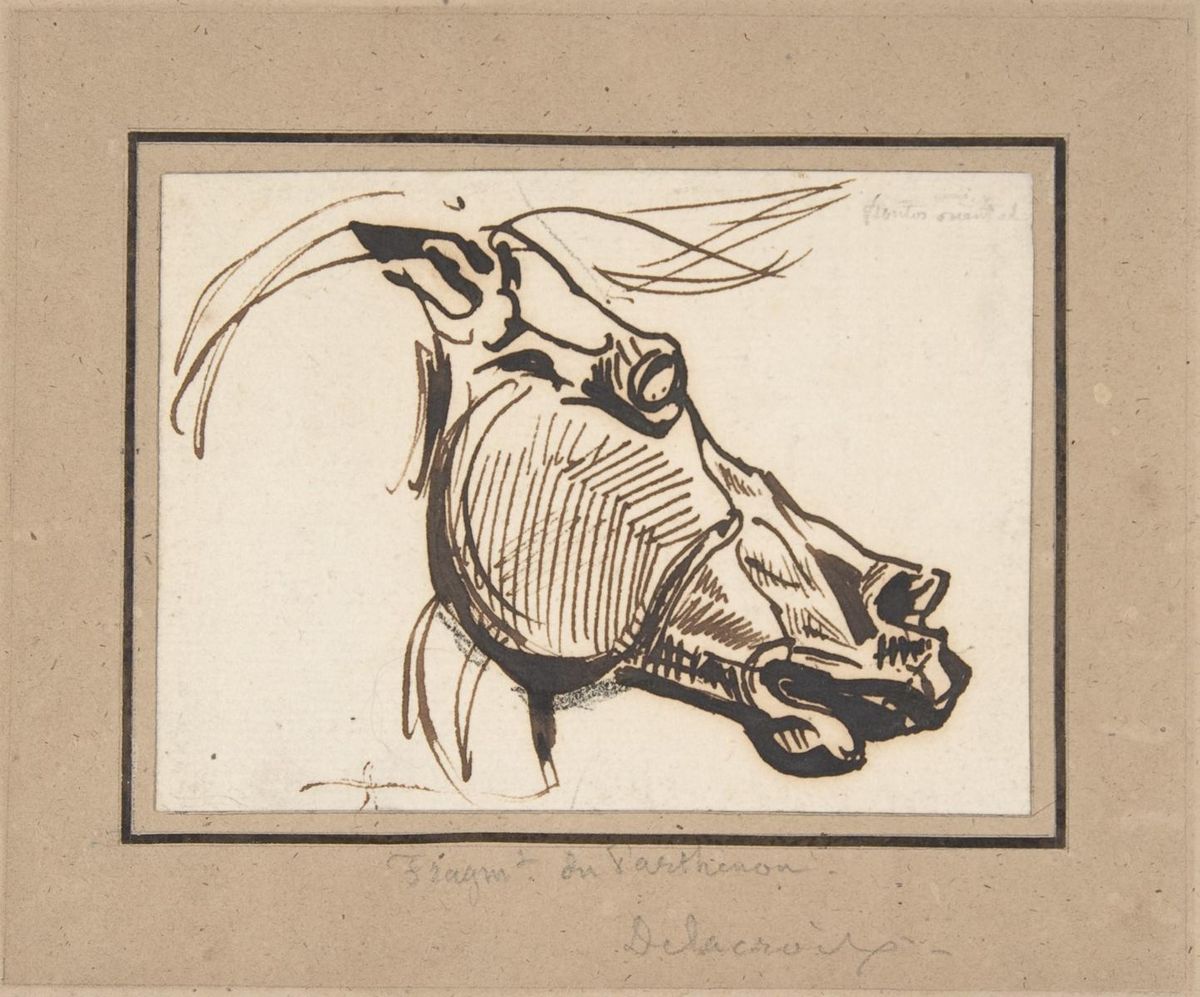 0119_德拉克洛瓦绘画油画图集TIF_Head_of_a_Horse_after_the_Parthenon-Eugene_Delacroix_French_Charenton-Saint-Maurice_1798–1863_Paris