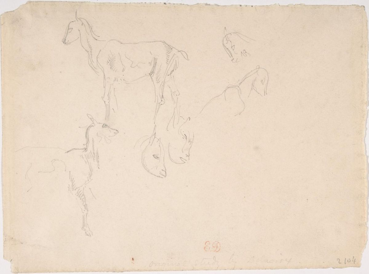 0134_德拉克洛瓦绘画油画图集TIF_Studies_of_a_Goat-Eugene_Delacroix_French_Charenton-Saint-Maurice_1798–1863_Paris