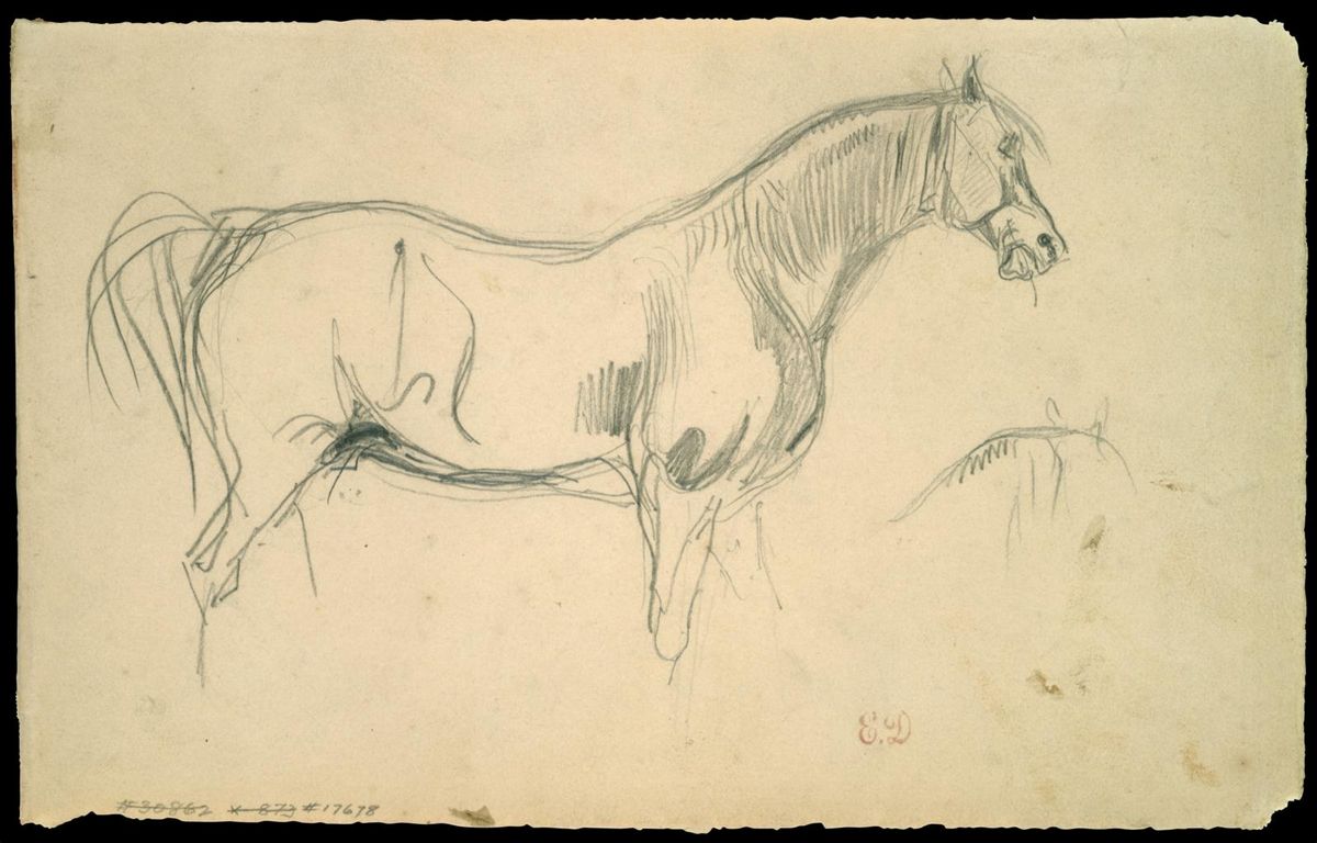 0135_德拉克洛瓦绘画油画图集TIF_Studies_of_a_Horse_in_Profile-Eugene_Delacroix_French_Charenton-Saint-Maurice_1798–1863_Paris