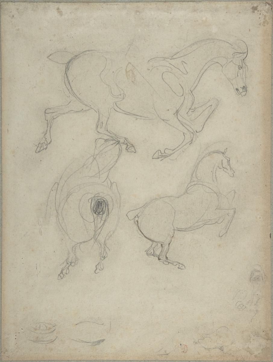 0138_德拉克洛瓦绘画油画图集TIF_Studies_of_Horses-Eugene_Delacroix_French_Charenton-Saint-Maurice_1798–1863_Paris