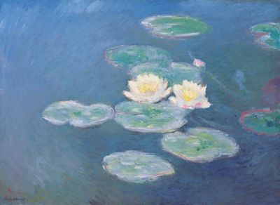 0011_莫奈睡莲系列_高清喷绘素材_Water_Lilies_Evening_Effect_1897-99_v2