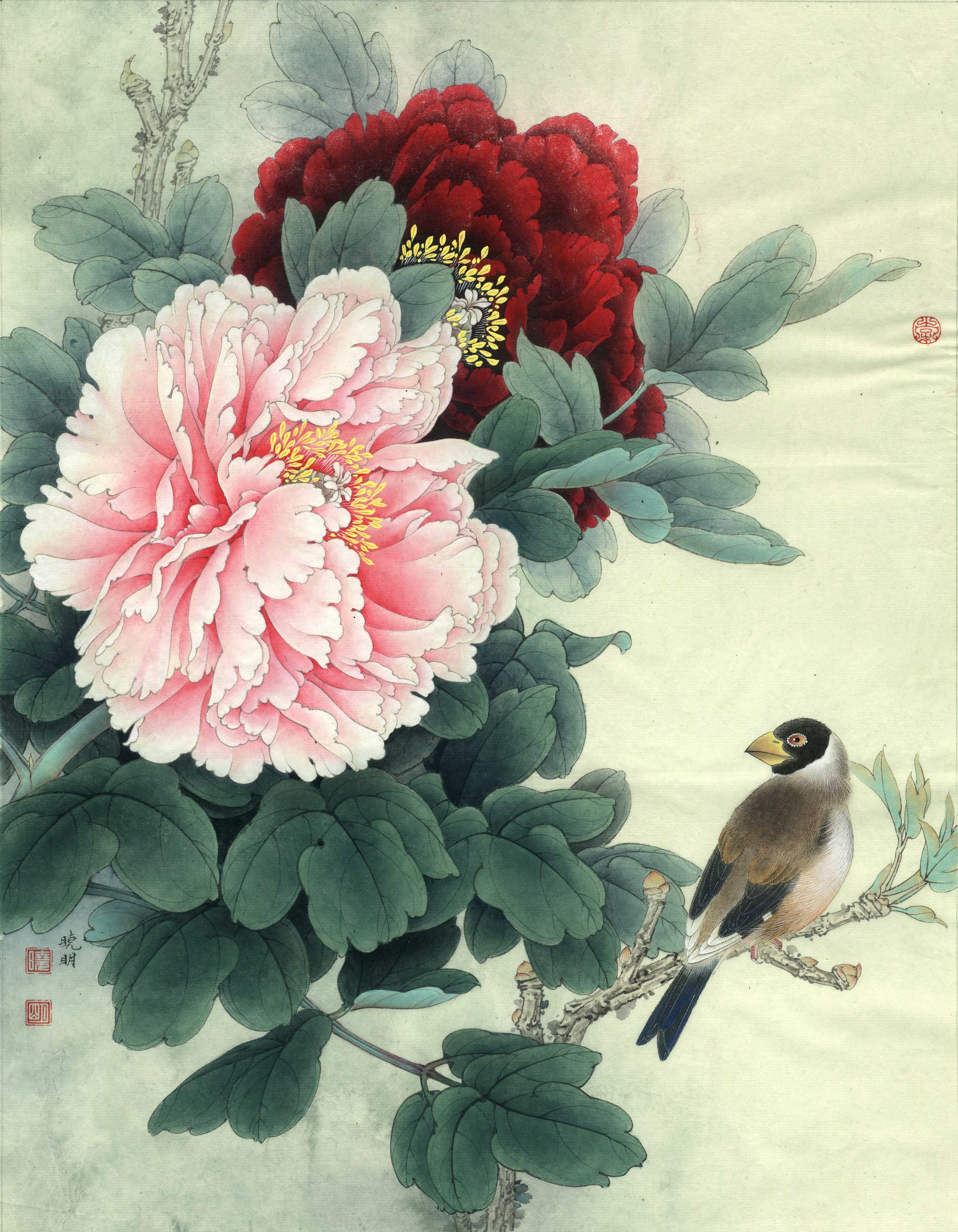 0043_李晓明工笔牡丹高清图jpg格式_牡丹蜡嘴真迹扫描