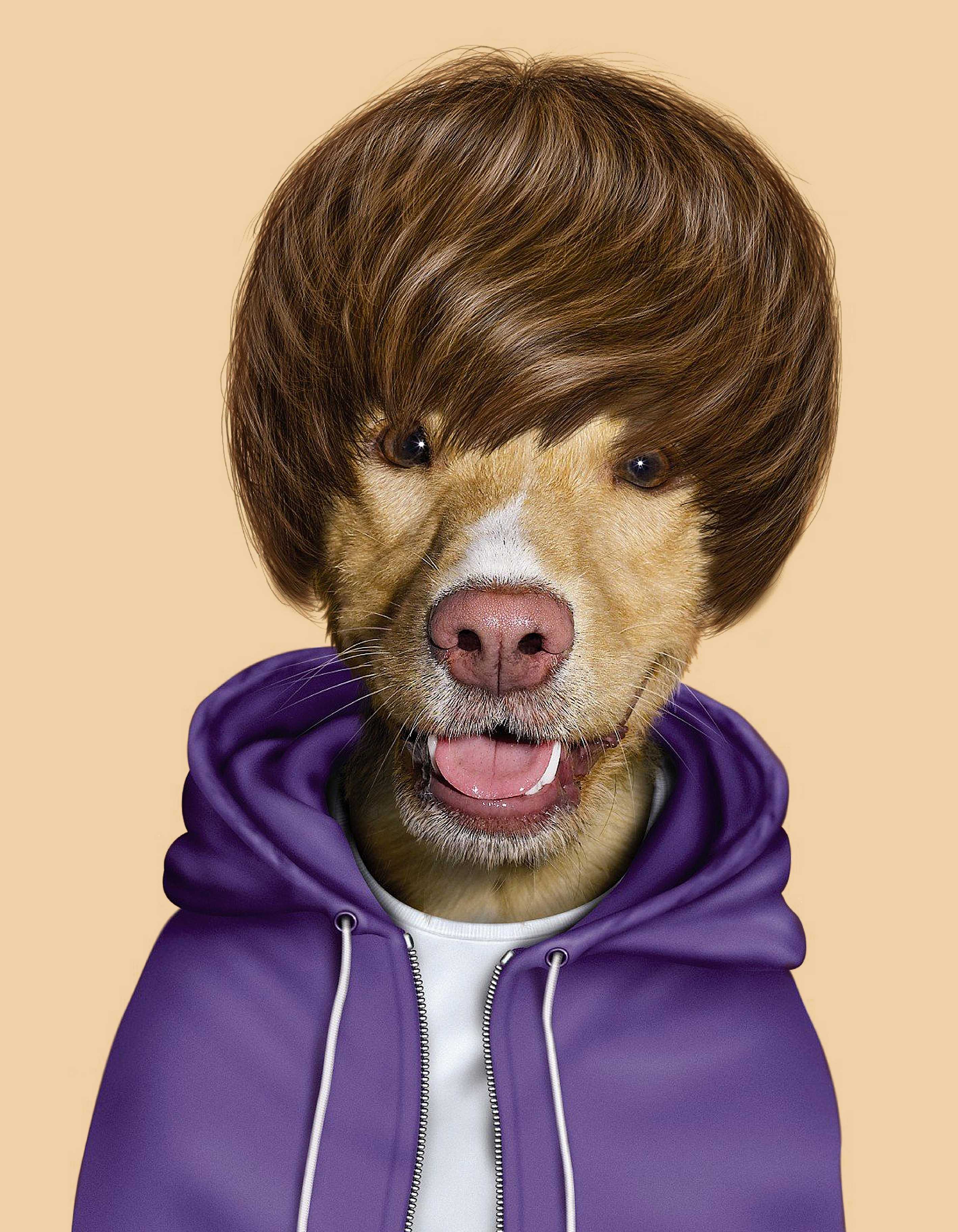 0005_宠物明星脸正式高清版画稿图集TIF格式_宠物明星脸正式高清版画稿——-Justin Bieber