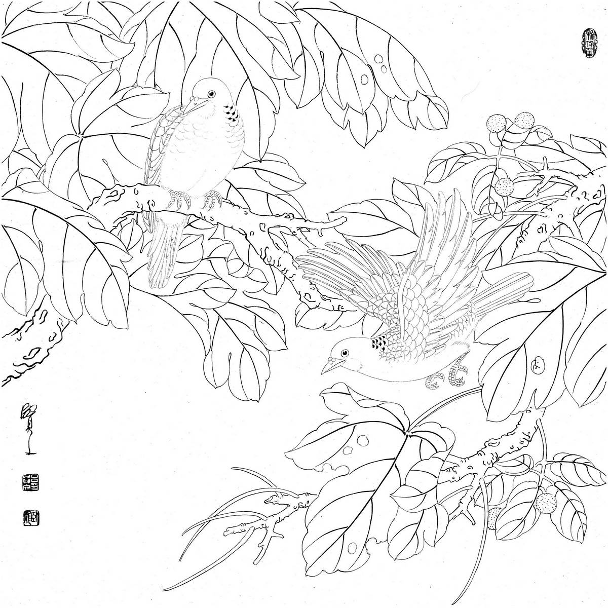0029_工笔画花鸟白描线稿素材高清图29_0x0px_jpg_600dpi_3