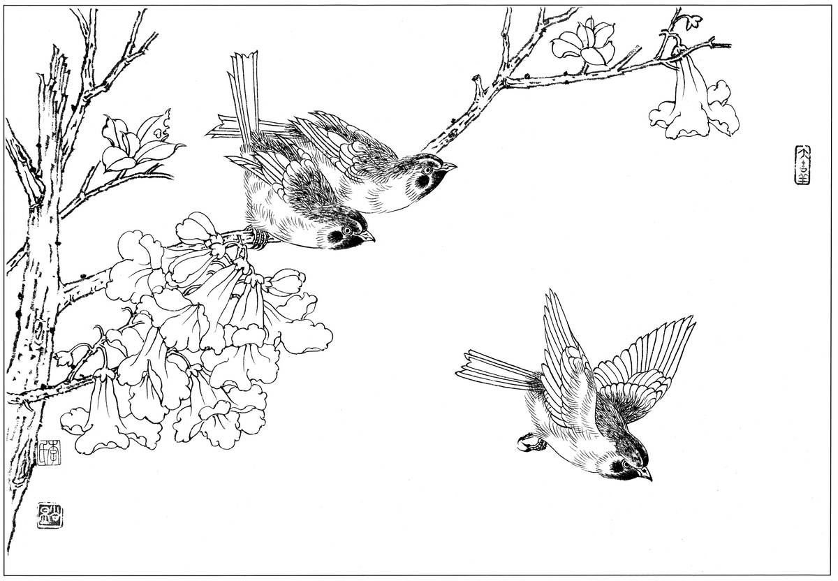 0142_工笔画花鸟白描线稿素材高清图麻雀1_0x0px_jpg_600dpi_3
