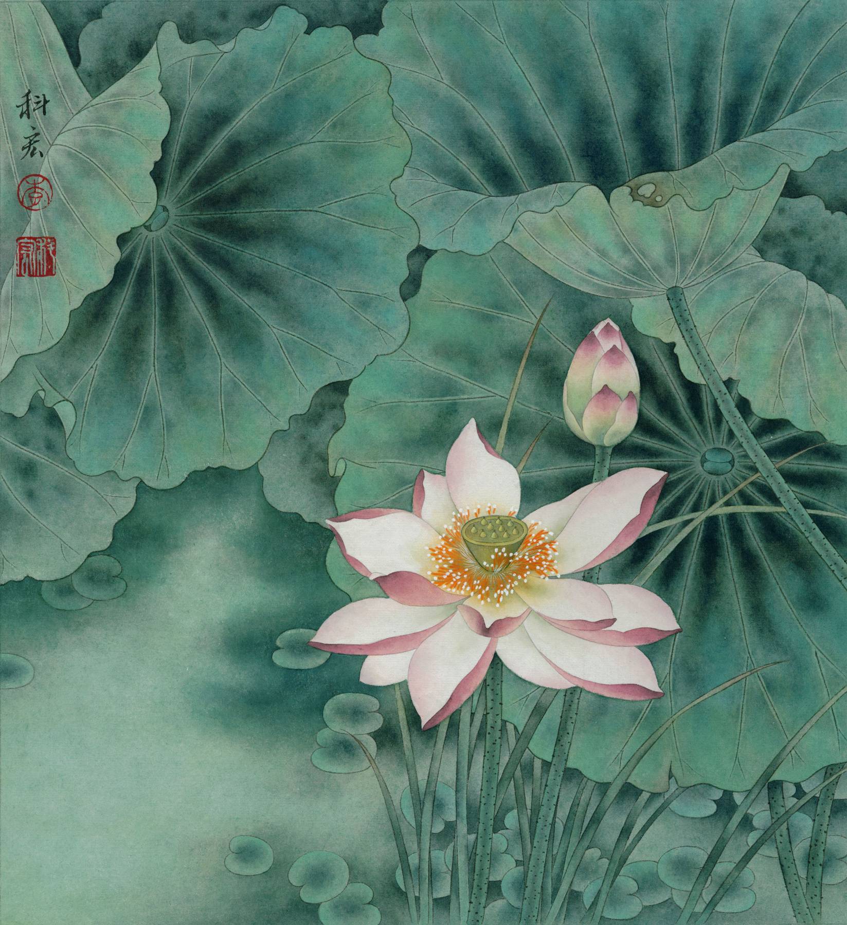 中国传统美术国画花卉牡丹花