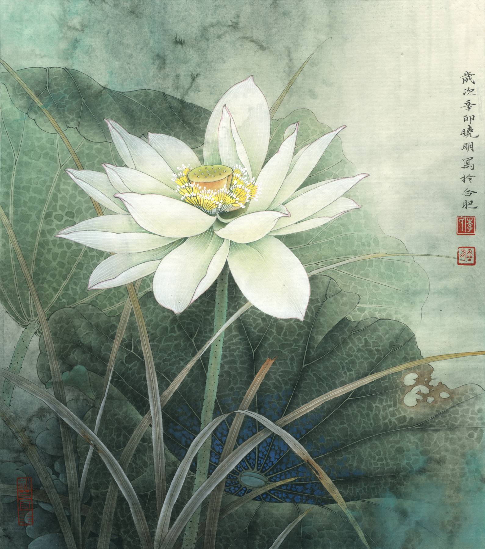 [国画高清大图]0013_李晓明工笔画荷花高清图jpg-荷花册页-清雅荷韵