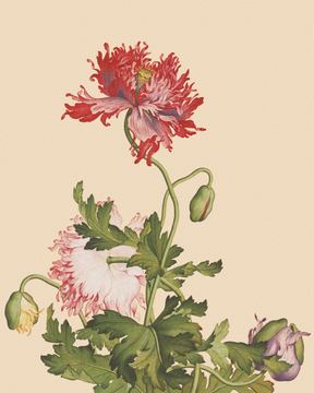 0005_郎世宁高清精修调色版图 (5)_4724x5906px_TIF_150DPI