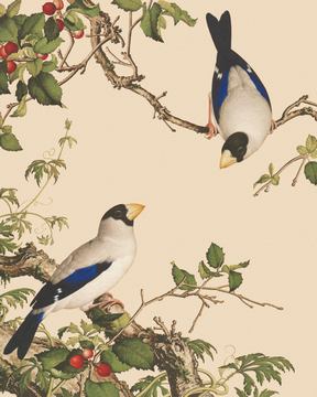 0008_郎世宁高清精修调色版图 (8)_4724x5906px_TIF_150DPI