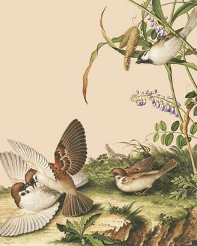 0012_郎世宁高清精修调色版图 (12)_4724x5906px_TIF_150DPI