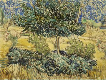 0243_梵高作品高清图专辑-243_3517x2648PX_TIF_100DPI_27_0