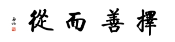 启功体数字书法-启功四字横幅书法