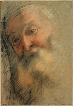 0012_巴罗奇_Federico Barocci 1535–1612-Head of an Old Bearded Man 1584-15_2451x3563PX_TIF_97DPI_25_0
