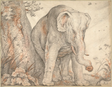 0097_罗朗_Roelant Savery 1576–1639-An Elephant Rubbing Itself against a _3066x2391PX_TIF_97DPI_21_0