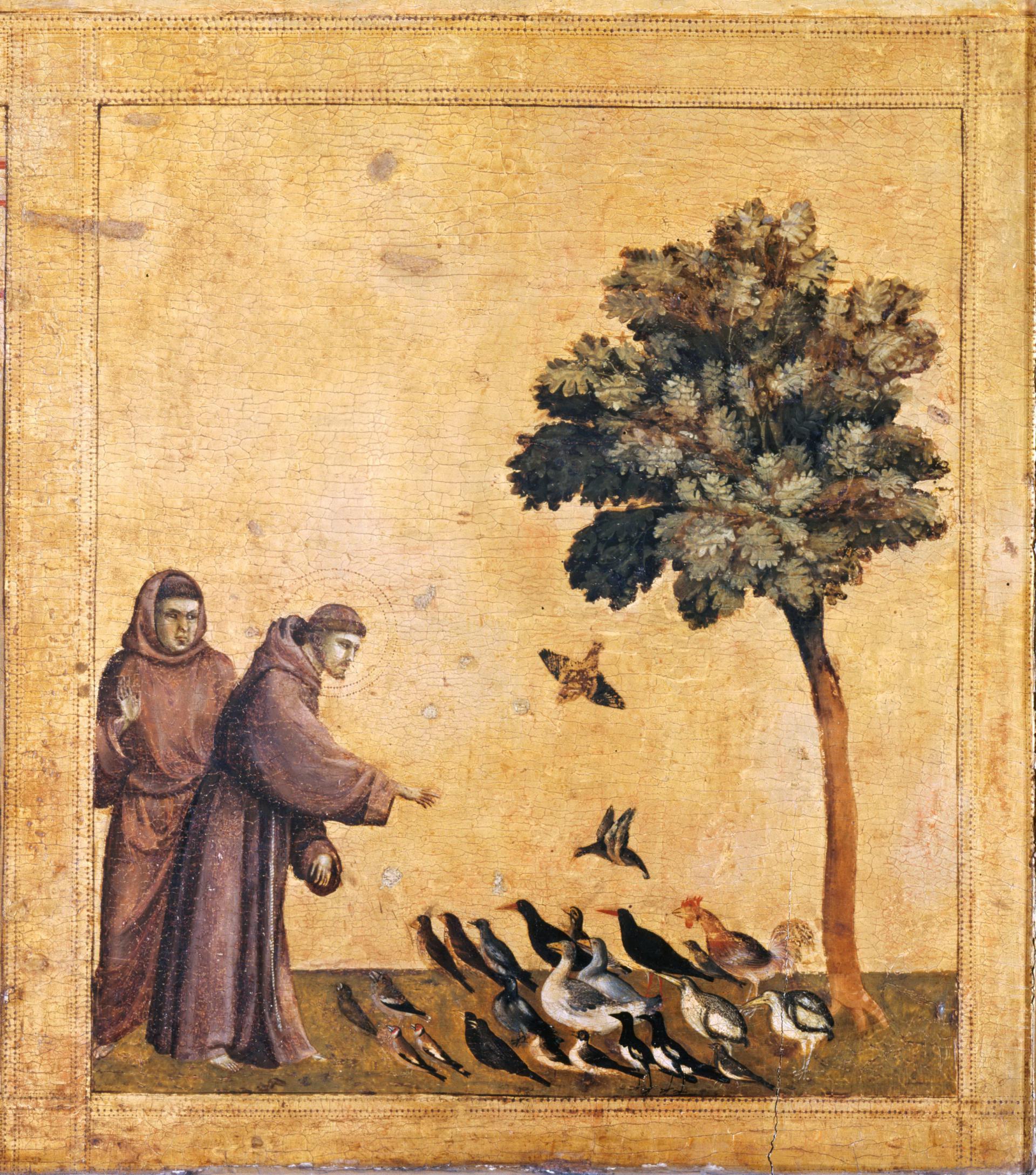 0076_乔托_Giotto —— Saint Francis Preaching to the Birds_2765x3136PX_TIF_72DPI_25_0