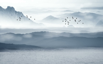 0103_新中式_新中式装饰画大图01辑-JM-2447_9071x5669PX_TIF_72DPI_150_0