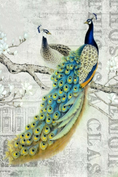 0274_新中式_新中式装饰画大图01辑-孔雀CC(1)_3543x5315PX_TIF_150DPI_55_0