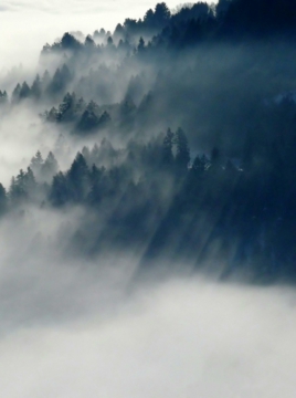 0302_新中式_新中式装饰画大图01辑-云雾斑斓 (1)_5000x6706PX_TIF_72DPI_98_0