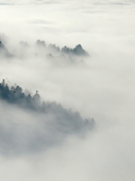 0304_新中式_新中式装饰画大图01辑-云雾斑斓 (3)_5000x6706PX_TIF_300DPI_98_0